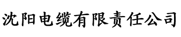 老司机软件分享电缆厂logo